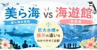美ら海水族館と海遊館を徹底比較！巨大水槽や展示コンセプトにどんな違いがあるの？