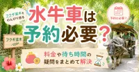備瀬のフクギ並木を水牛車で巡るなら予約は必要？料金や待ち時間の不安を徹底解消！