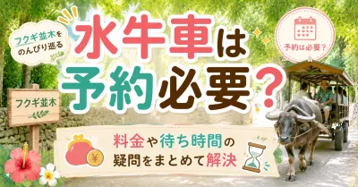 備瀬のフクギ並木を水牛車で巡るなら予約は必要？料金や待ち時間の不安を徹底解消！