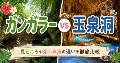 沖縄観光でガンガラーの谷と玉泉洞のどちらを選ぶべきか？それぞれの違いと魅力を徹底解説！